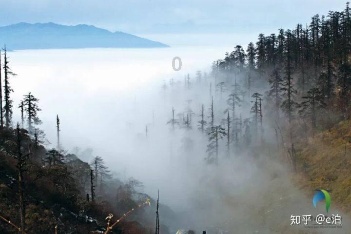亚洲杯 | 韩国绝平约旦 小组头名之争仍有悬念